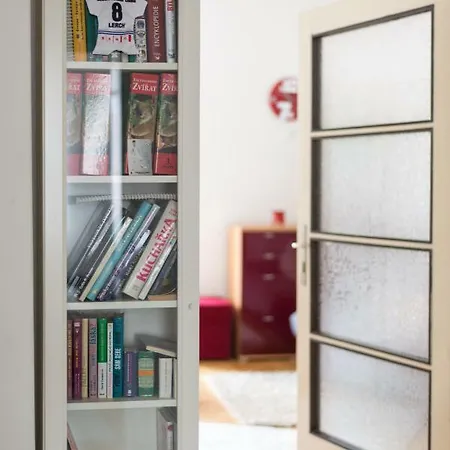 Spilberk Pellicova Apartmán *